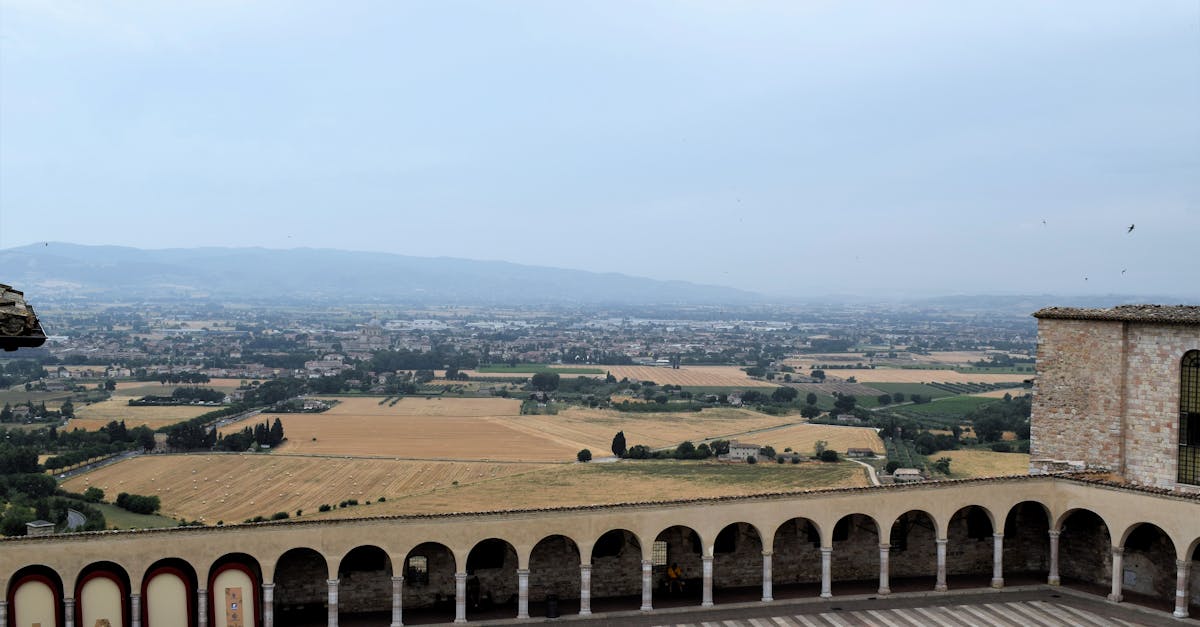 Alba