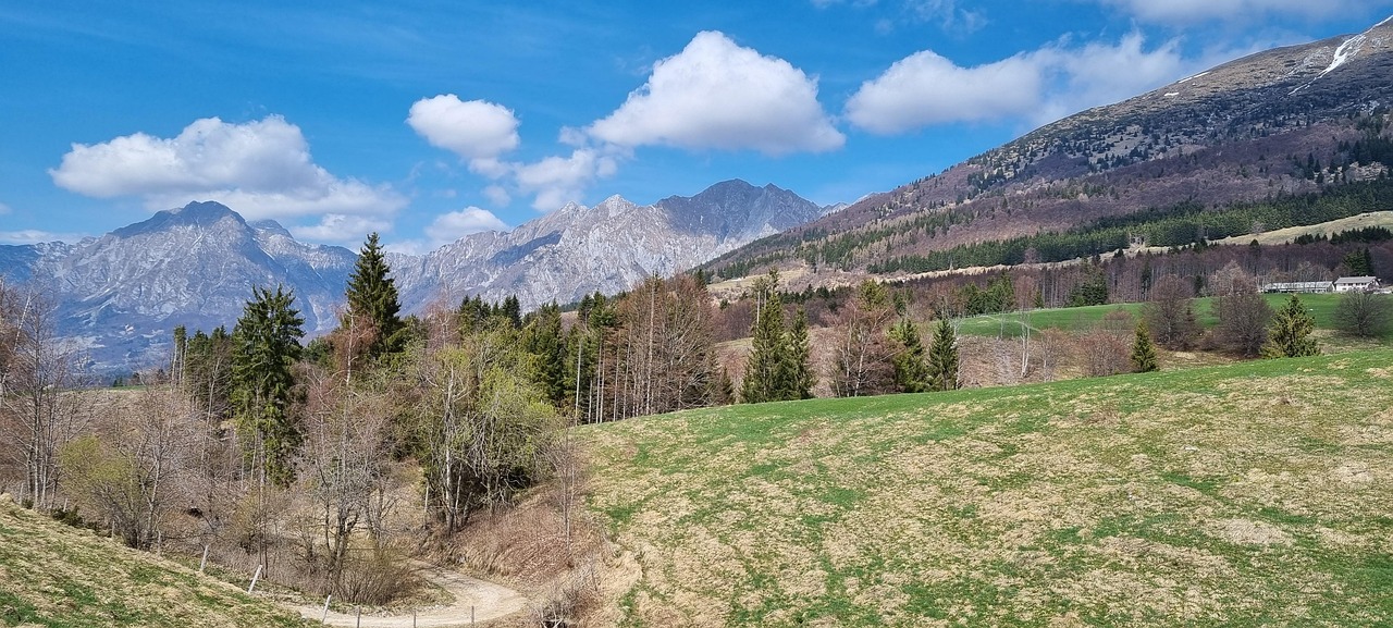Alpago