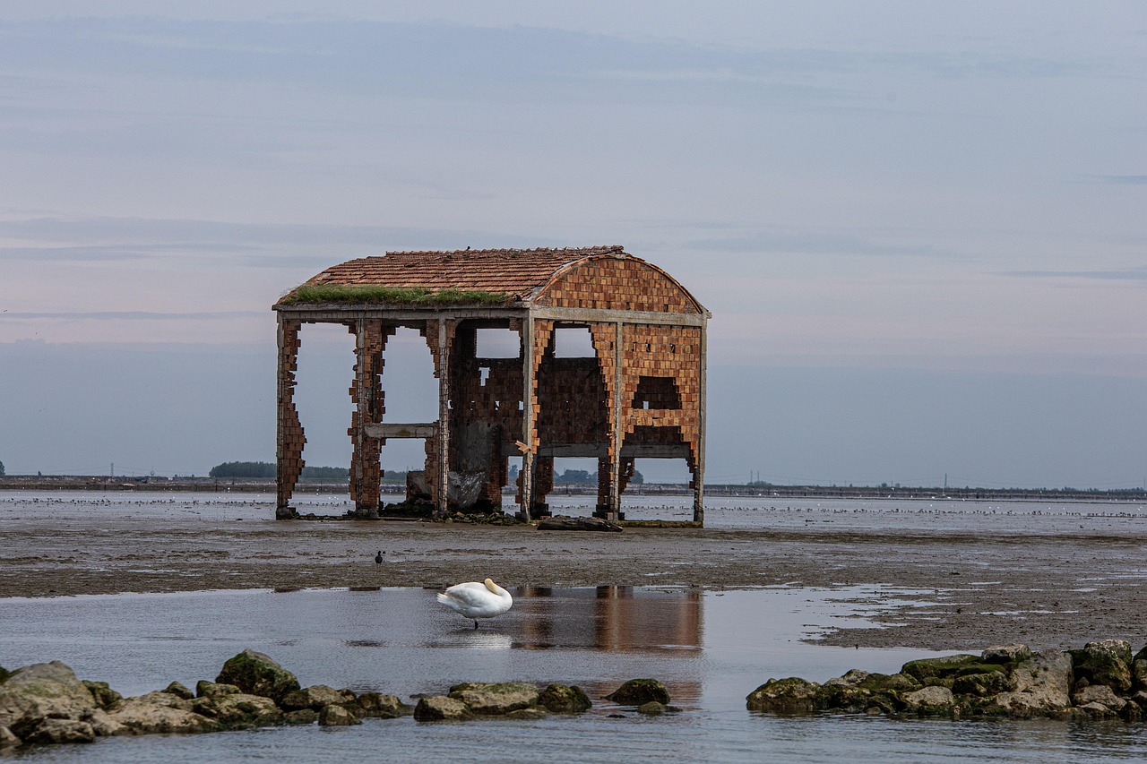 Costa di Rovigo