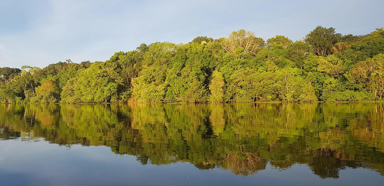 Floresta