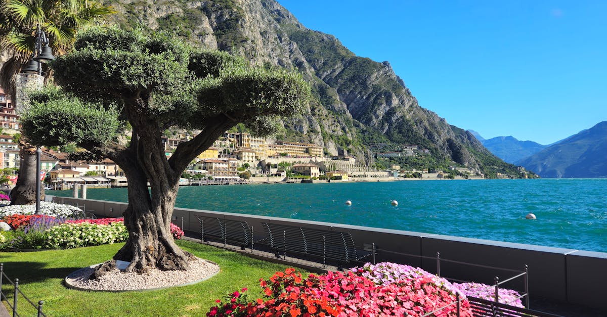 Limone Piemonte
