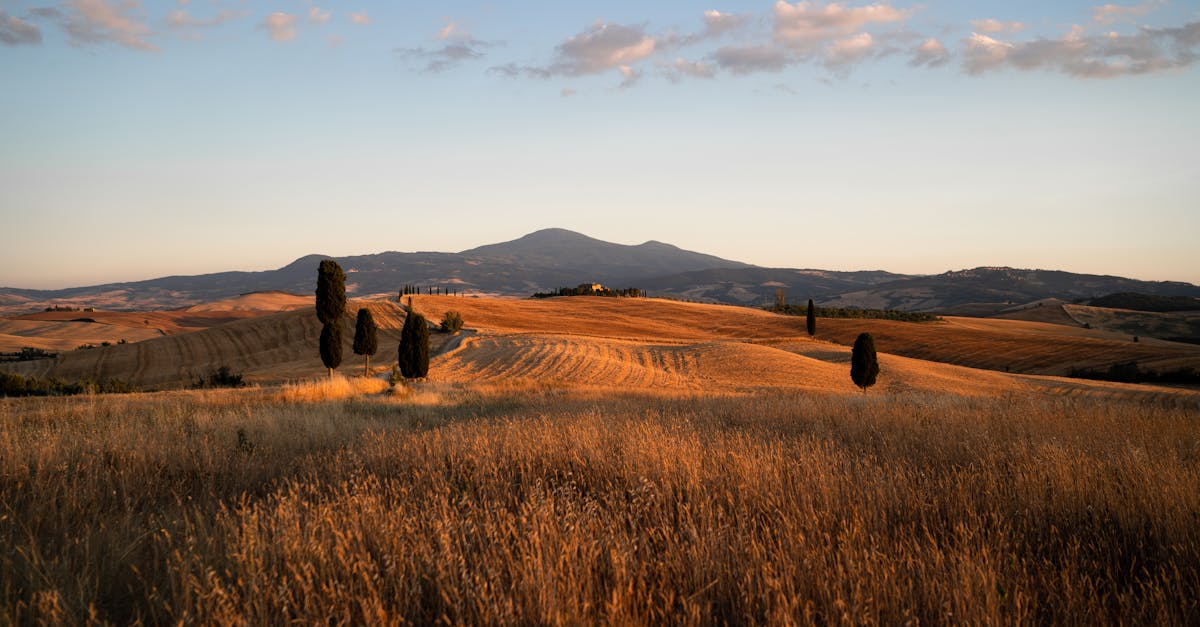 Montalcino