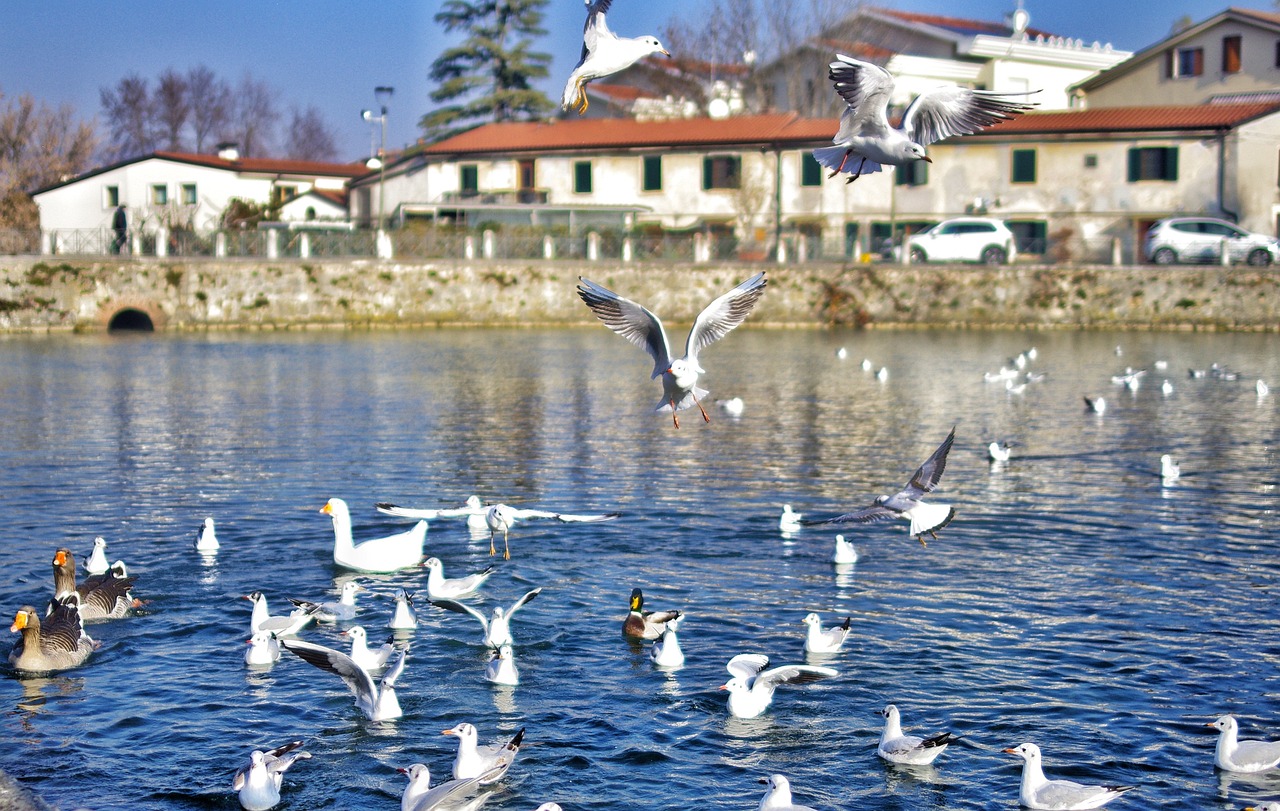 Montorio al Vomano