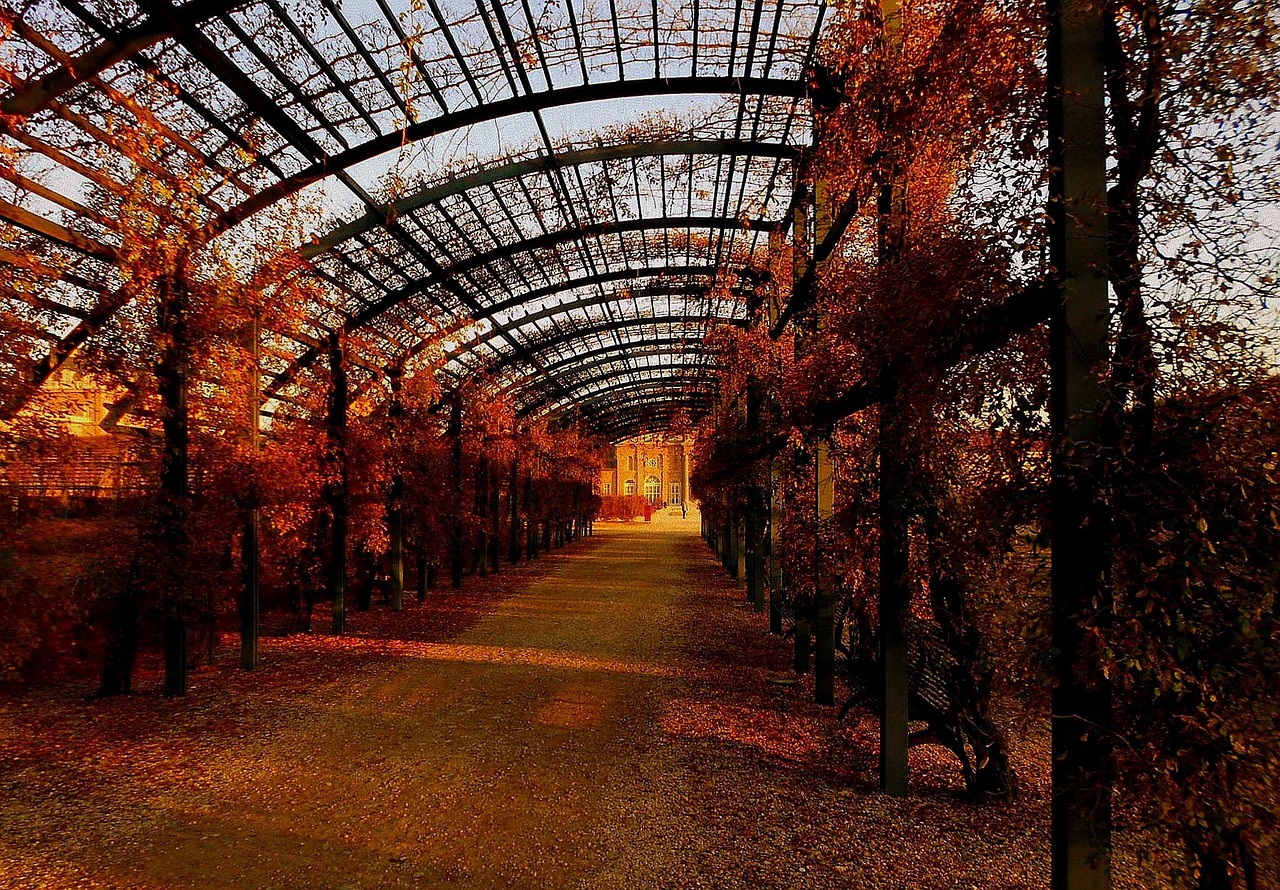 Pergola