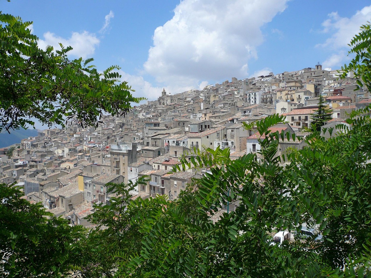 Prizzi